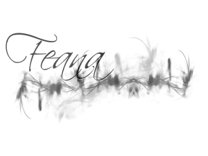Feana - Hair Stylist & MakeUp Artist logo